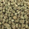 Gelato 47 Micro Smalls
