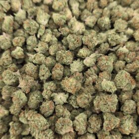 Gelato 47 Micro Smalls