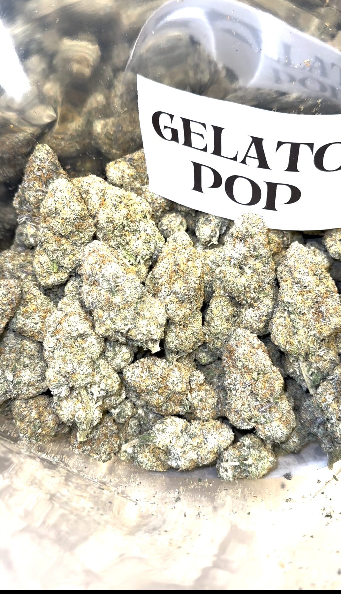 GELATO POP