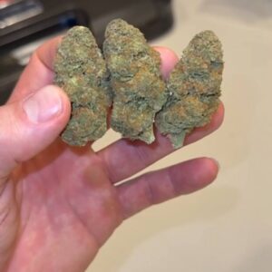 Platinum Girlscout deps