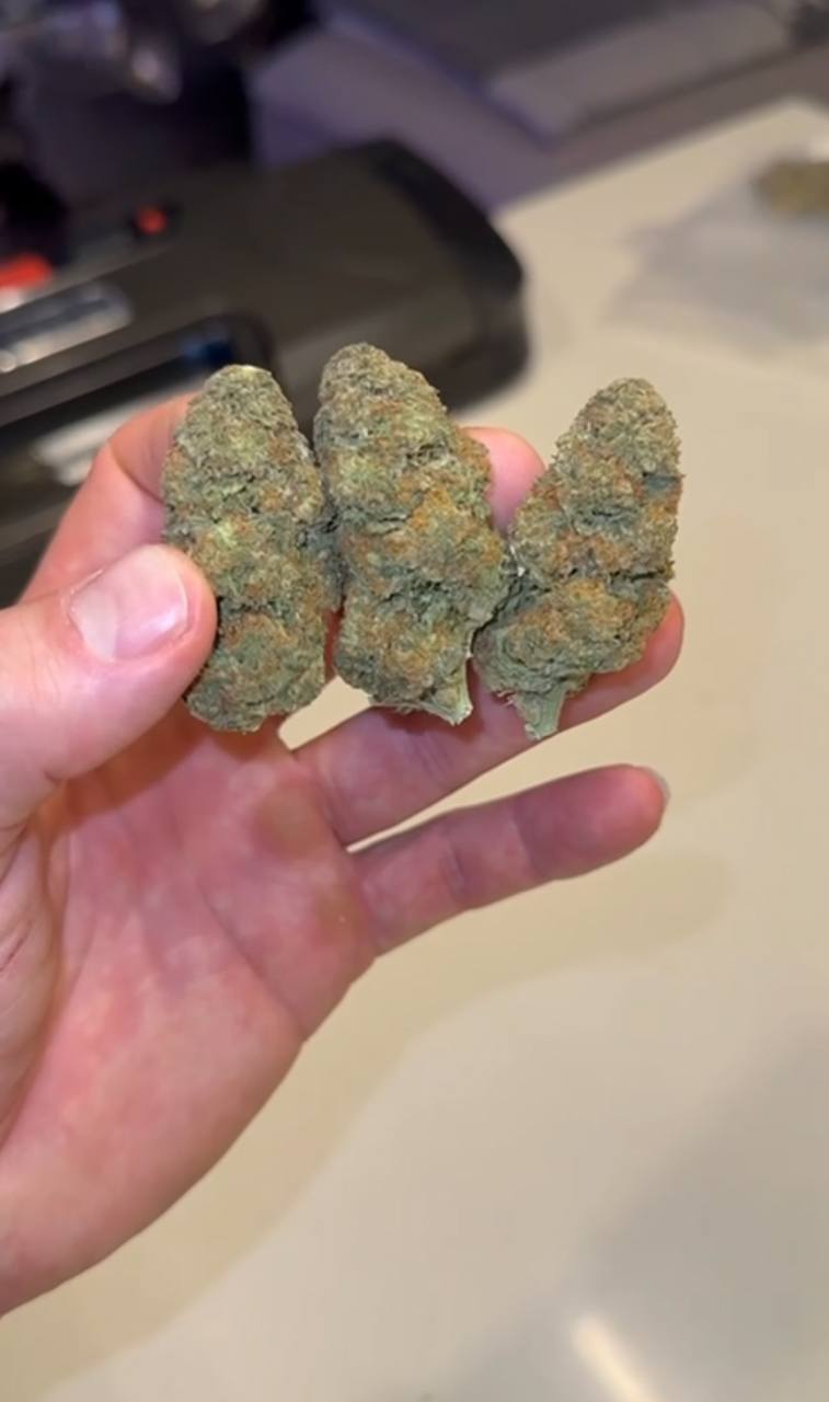 Platinum Girlscout deps