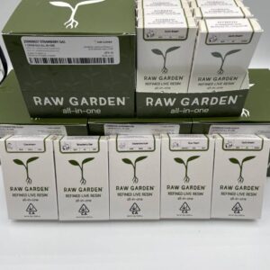 Alternative view of Raw Garden 1g L.R Disposables