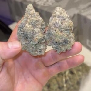 👽👽MAC 👽👽