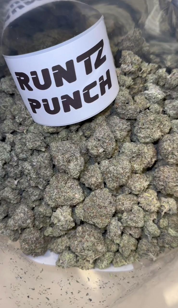 RUNTZ PUNCH