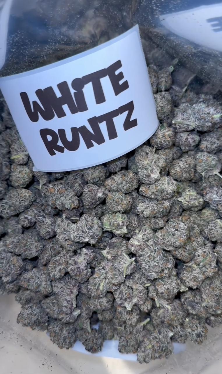 WHITE RUNTZ