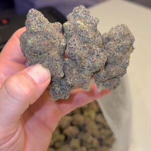 PINK WARHEADZ 🍬 (INDOOR, EXOTIC)