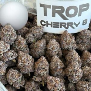 TROP CHERRY 8