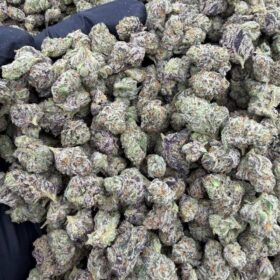 BLUE SLURPY INDOOR SM