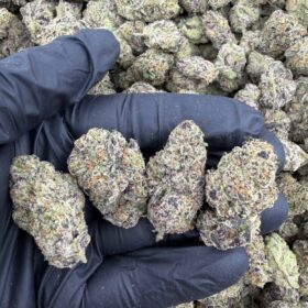 BLUE SLURPEE INDOORS 🫐