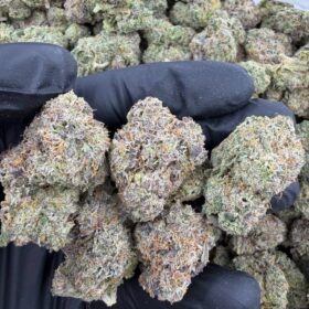 CANDY HEARTS INDOORS 🍭