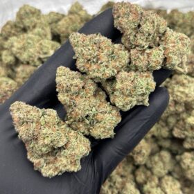 WHITE COOKIES MIXLIGHTS 🍪