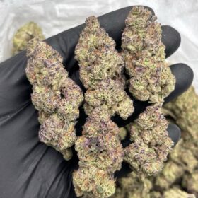 UNICORN MILK MIX LIGHTS 🥛