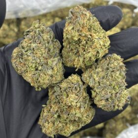 OREO BLIZZARD MIX LIGHTS 🍪