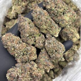 GRAPE SODA MIXED LIGHTS 🍇