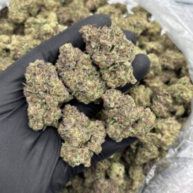 SUNDAE DRIVER MIX LIGHTS 🚗🔥