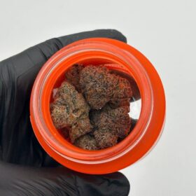 SHERBINSKI EXOTIC FLOWER 🍊🍭