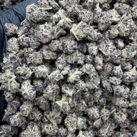 PB BREATH INDOOR SM 🥜🔥