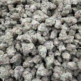 POP ROX INDOOR SM 🍾🍭