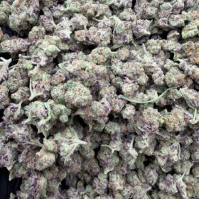 GLITTER BOMB INDOOR SM ✨💣