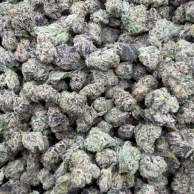 BLUE SLURPEE INDOOR SM 🫐🥤