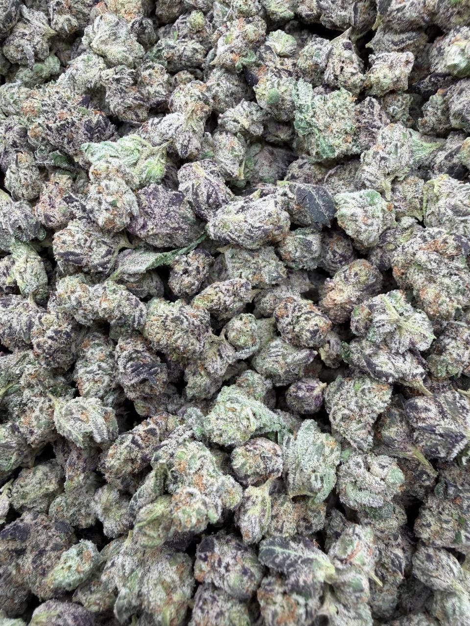 BLUE SLURPEE INDOOR SM š«š„¤