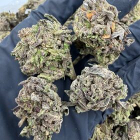 SUPER MOCHI 🥶🍡