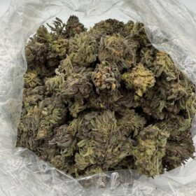 CHERRY GUMBO 🍒🔥