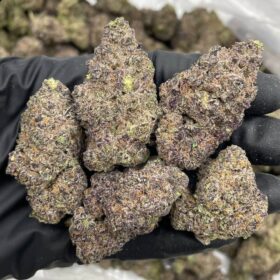 BLUE SLUSHEE INDOORS 🫐🥤