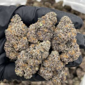 CAP’N RUNTZ 👨‍✈️🔥