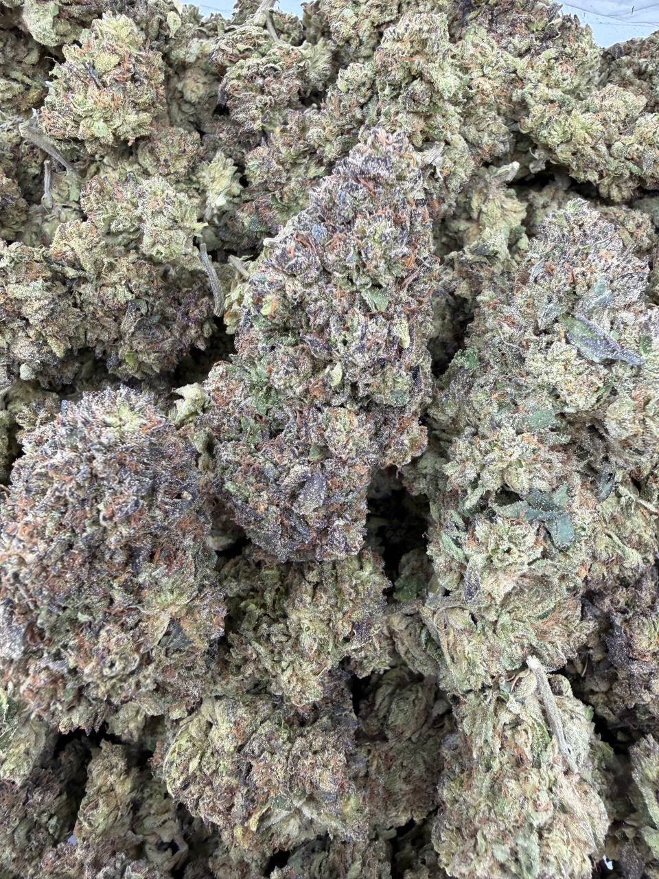 BLUE LOBSTER MIXLIGHTS 🫐🦞 - Image 2