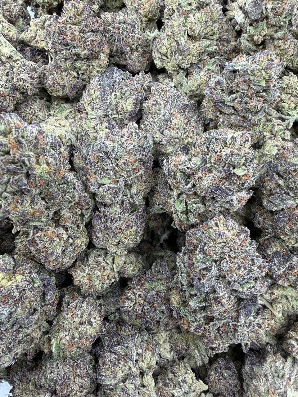 CADILLAC RAINBOW MIXLIGHTS 🍇🔥 - Image 2