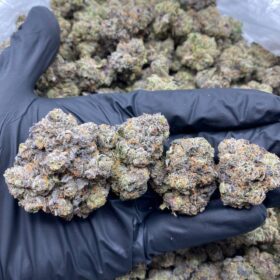 BANANA SHERBERT INDOORS 🍌🍭