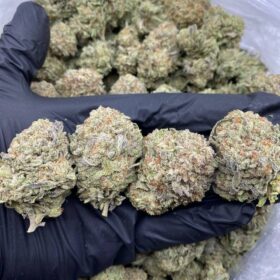 DANTES INFERNO MIX LIGHTS 😋