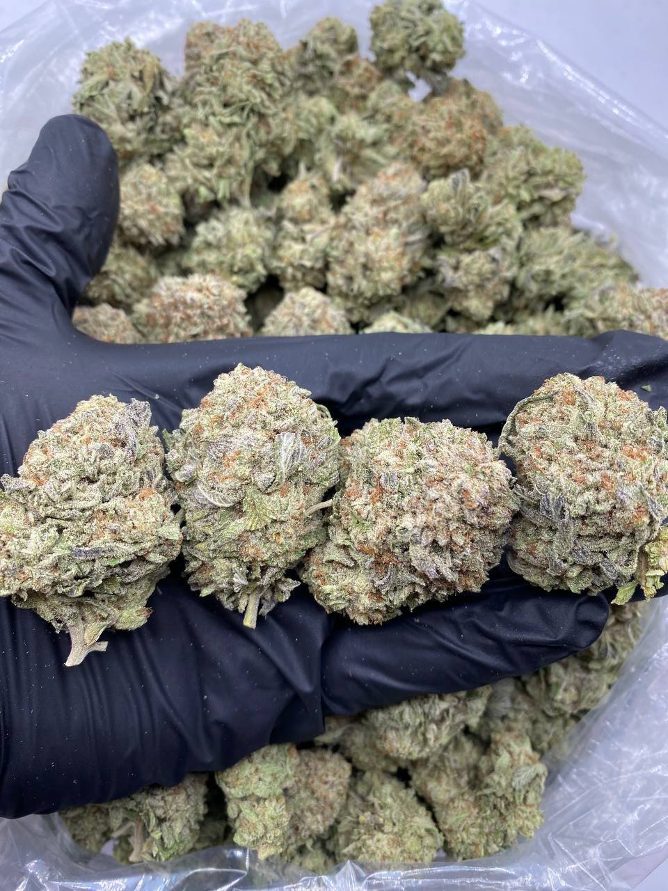 DANTES INFERNO MIX LIGHTS 😋