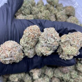 CRÈME BRÛLÉE MIX LIGHTS 😋