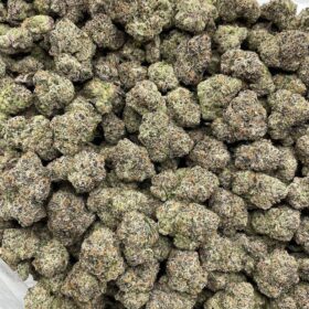 CONFIDENTIAL CANDIES INDOORS 🤫🍭