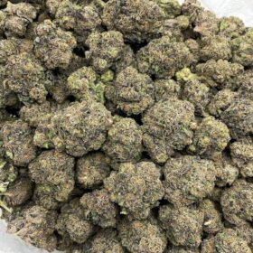 PINK SOUR PATCH INDOORS 🩷🍭