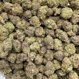 BLUEBERRY SHORTCAKE INDOORS 🫐🎂🍭