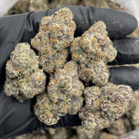 SUNSET MARSHMALLOWS INDOORS 🌅