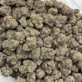 BLACK CHERRY GUMBO INDOORS 🖤🍒