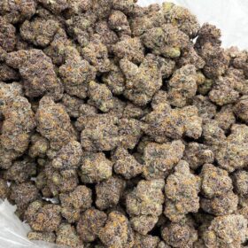 STRAWBERRY RUNTZ INDOORS 🍓🍬