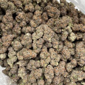 SUPER DOSI INDOORS 🦹🔥