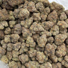 FROSTED JELLY DONUT INDOORS ❄️🍩