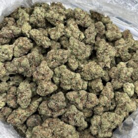 SHERBINSKI MIX LIGHTS 🍊🔥