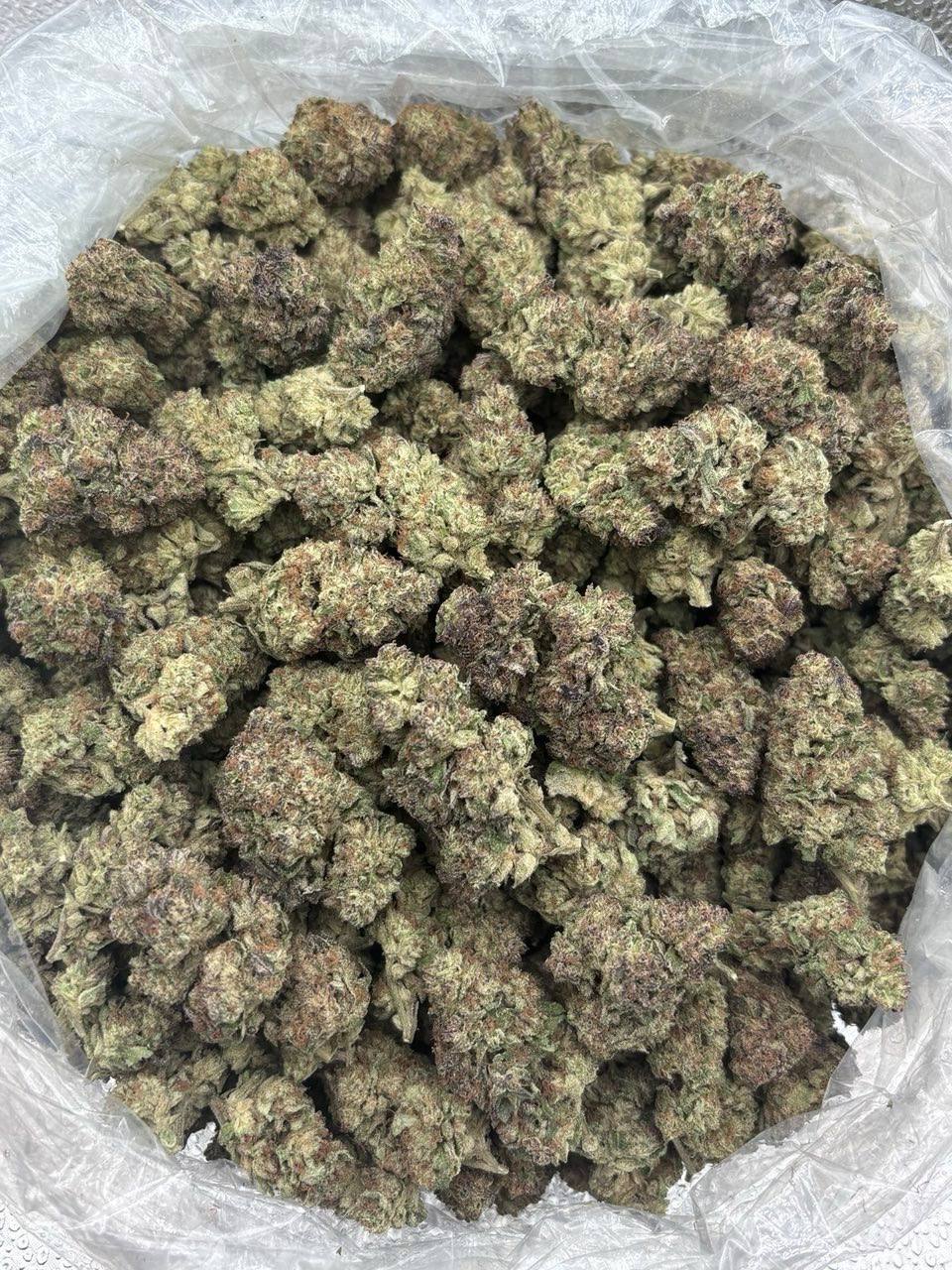 ICE CREAM SHERBERT DEPS 🍦 - Image 2