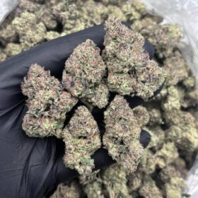 ICE CREAM SHERBERT DEPS 🍦