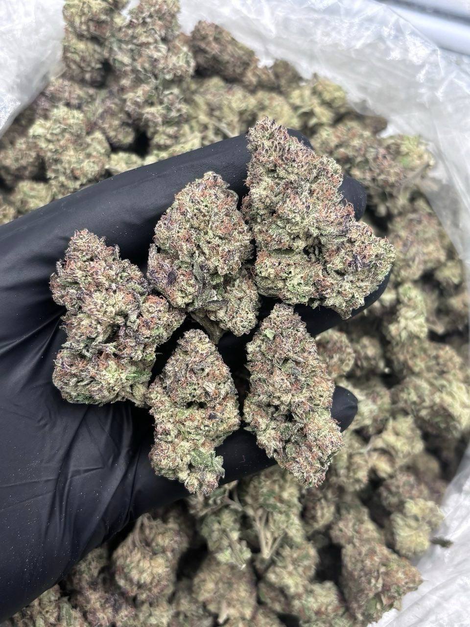 ICE CREAM SHERBERT DEPS 🍦