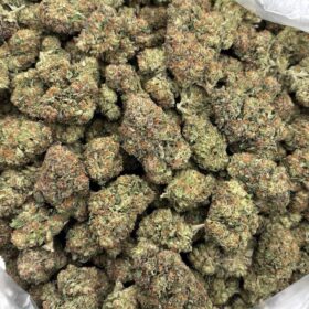 NIGHTSHADE 41 MIXED LIGHTS 🌚🔥