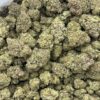 ELMERS GLUE INDOORS ⛽️
