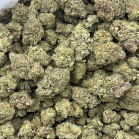 ELMERS GLUE INDOORS ⛽️